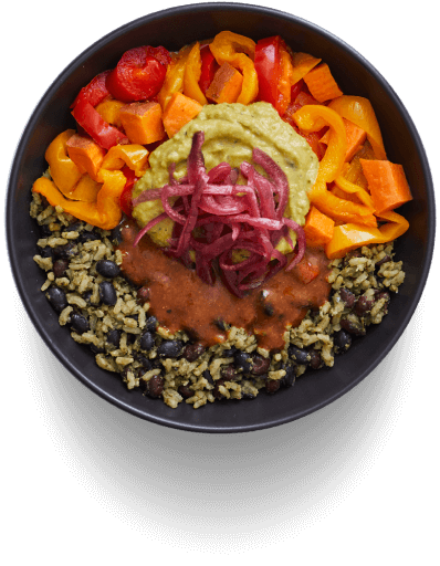 Vegan