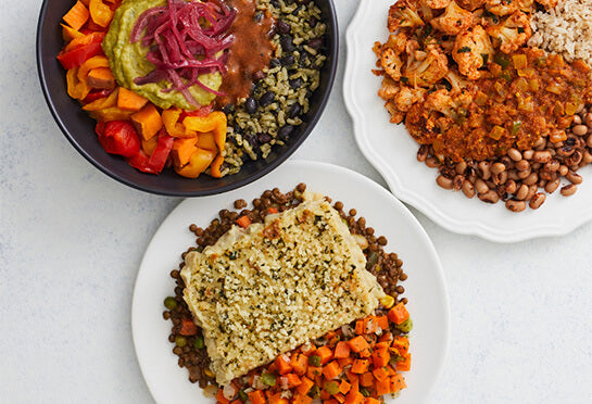 Various delicious plated meals